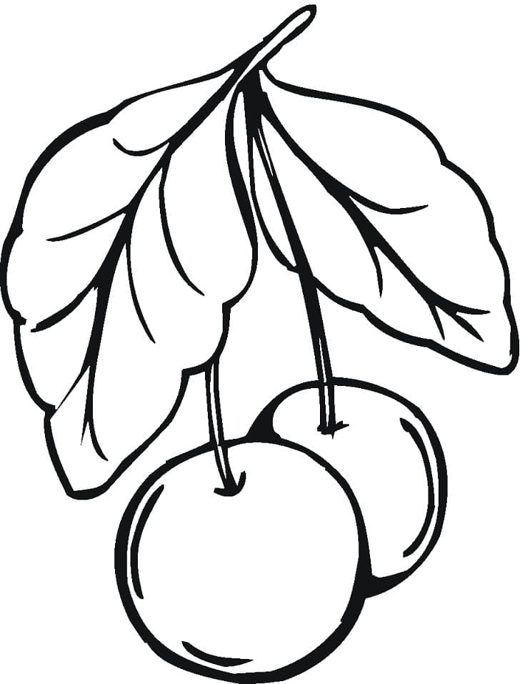 Cherry For Free coloring page