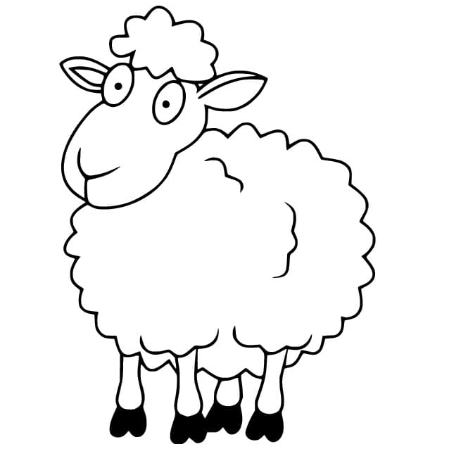 Confused Sheep coloring page