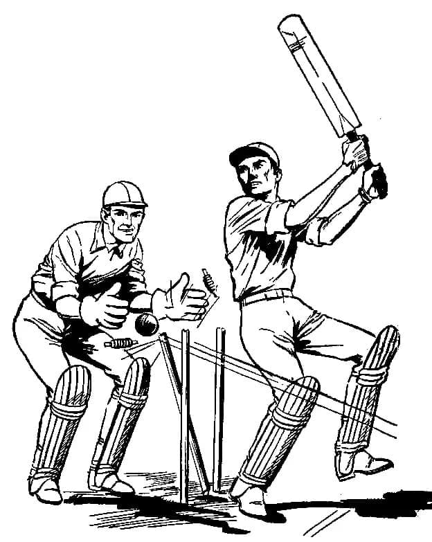 Cricket Players coloring page