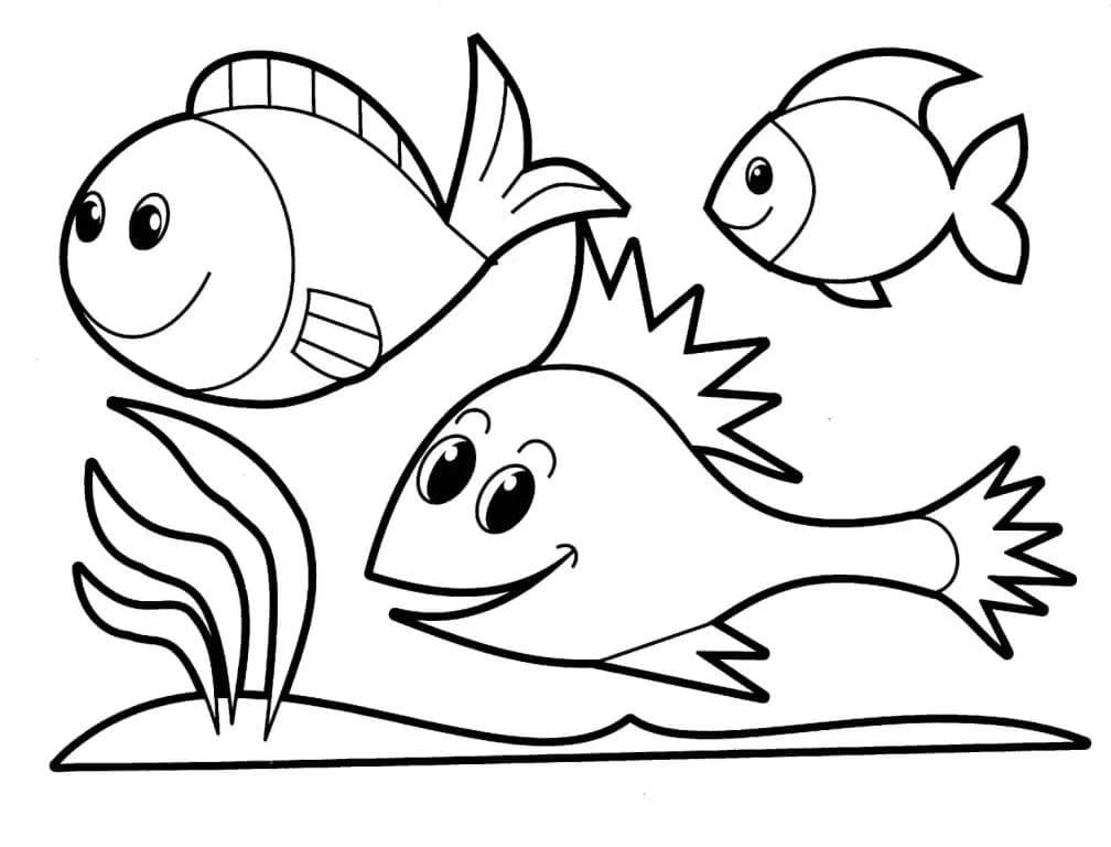 Cute Fishes for Toddler