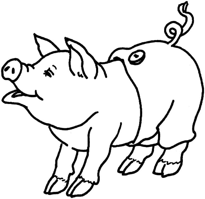 Cute Little Pig coloring page - Download, Print or Color Online for Free