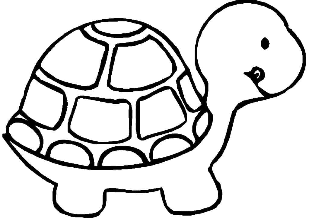 Cute Turtle for Toddler