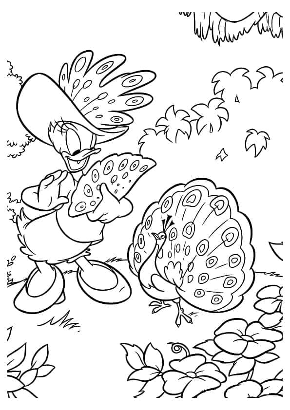 Daisy Duck and A Peacock coloring page