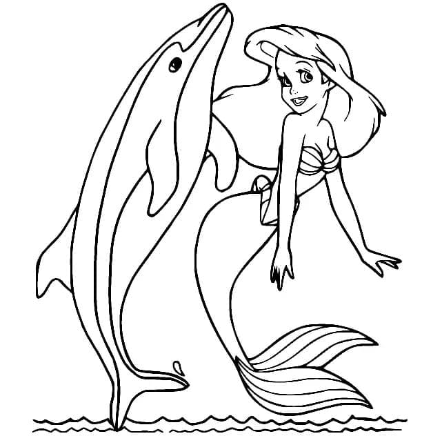 Dolphin and Ariel