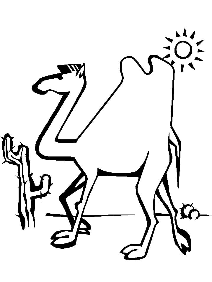 Drawing of Camel