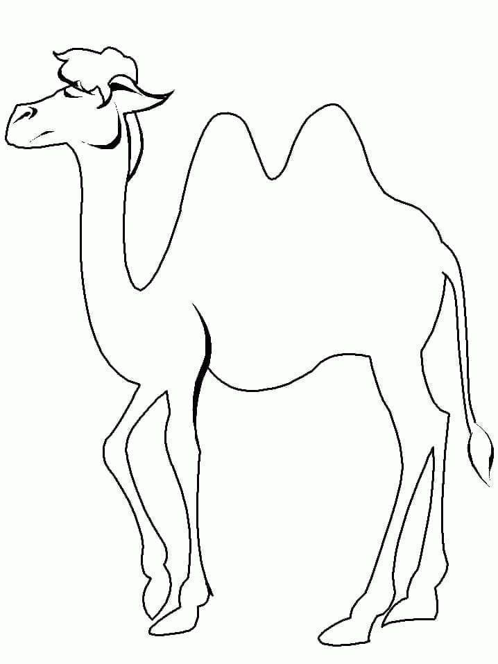 Easy Camel coloring page