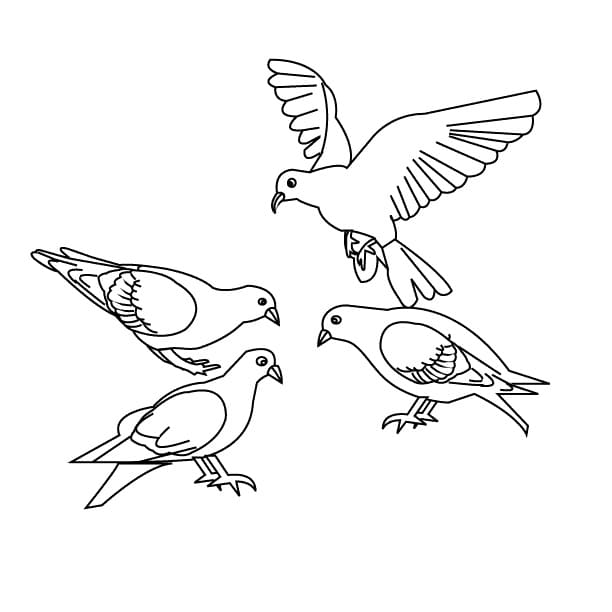 Four Birds coloring page