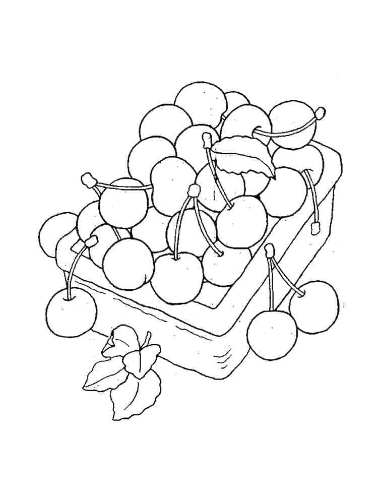 Free Cherries coloring page