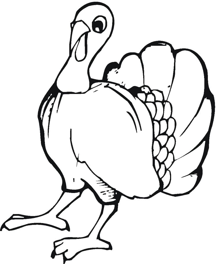 Free Drawing of Turkey coloring page