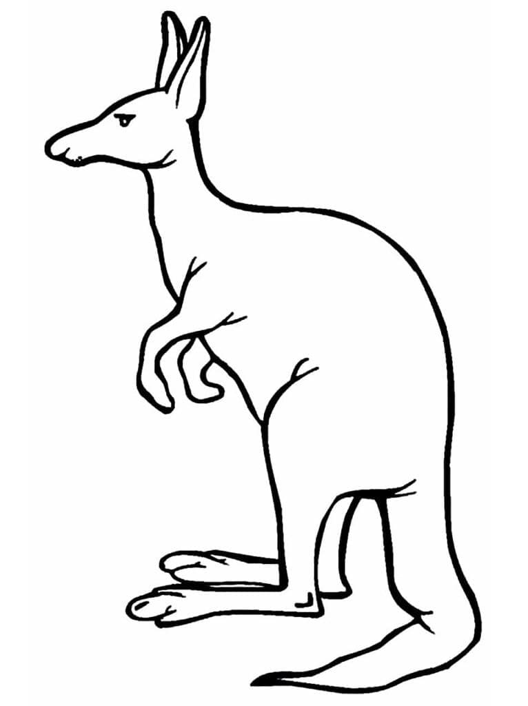 Free Kangaroo coloring page