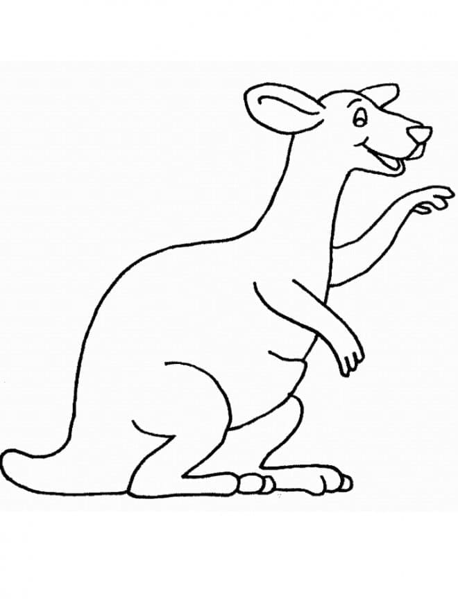 Free Printable Kangaroo