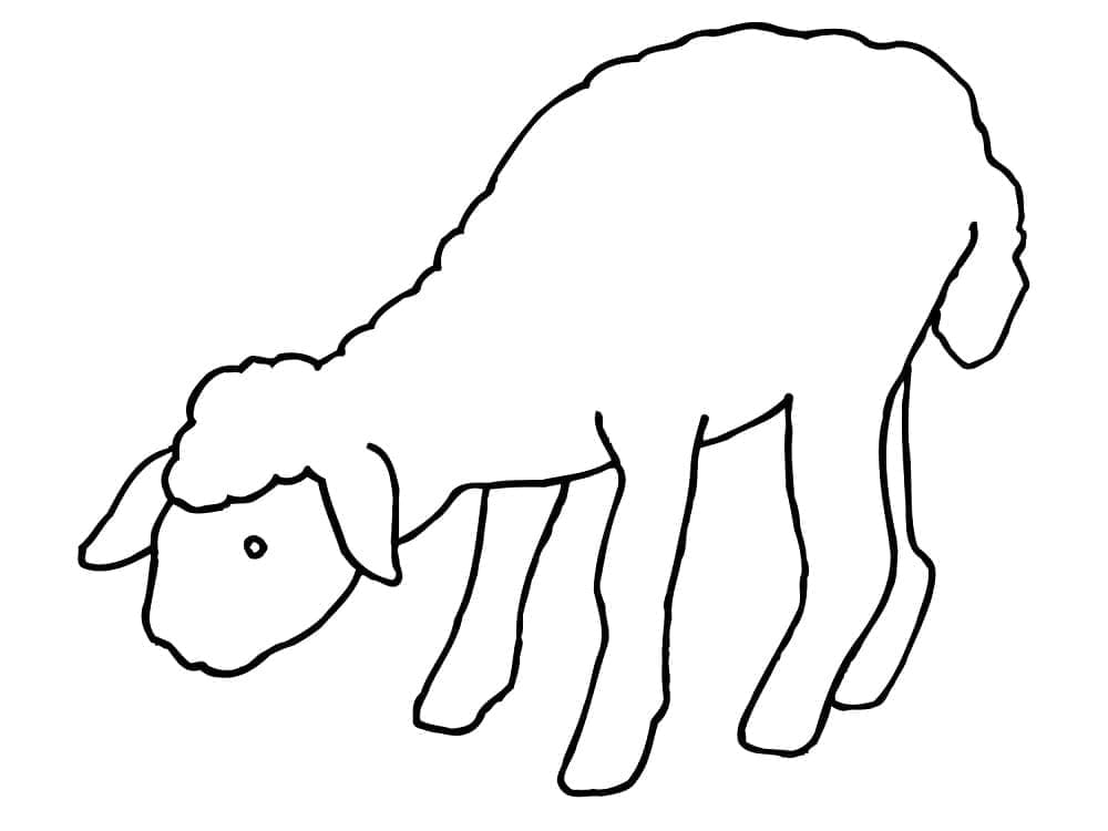 Free Printable Lamb