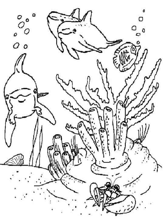 Free Under the Sea coloring page