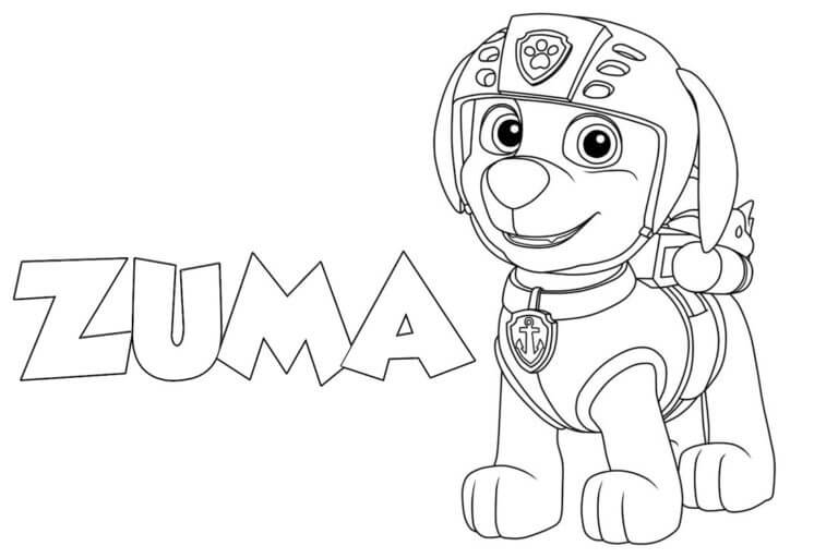 Fun Zuma coloring page