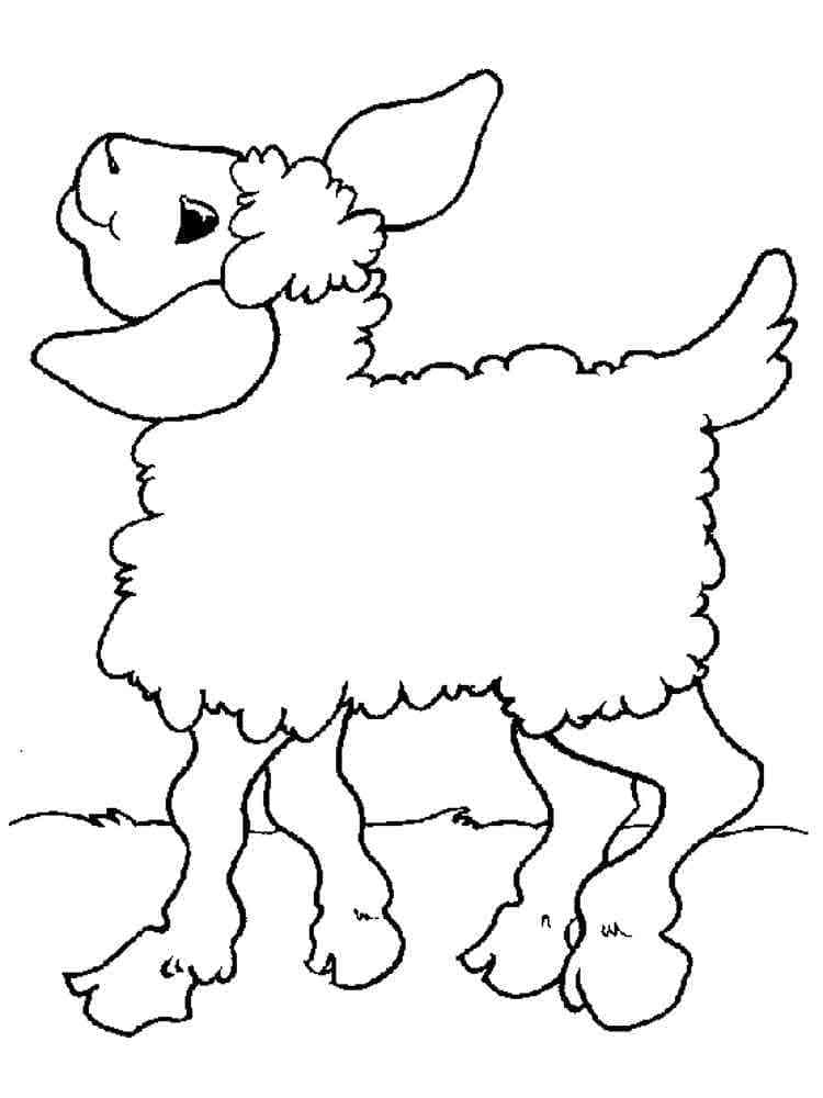 Funny Lamb coloring page