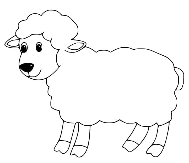 Furry Sheep coloring page