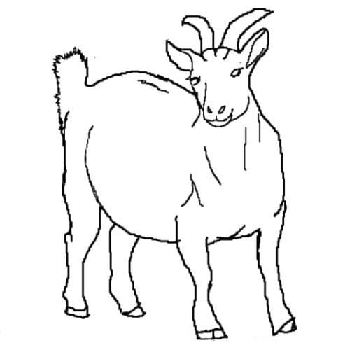 Goat For Free coloring page