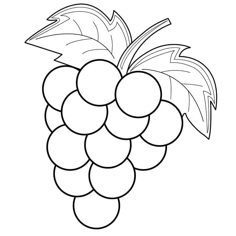 Grapes for Toddler coloring page