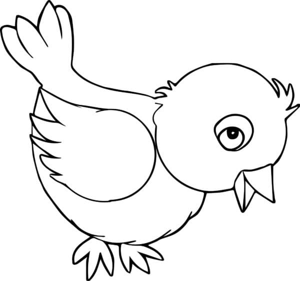 Happy Bird coloring page