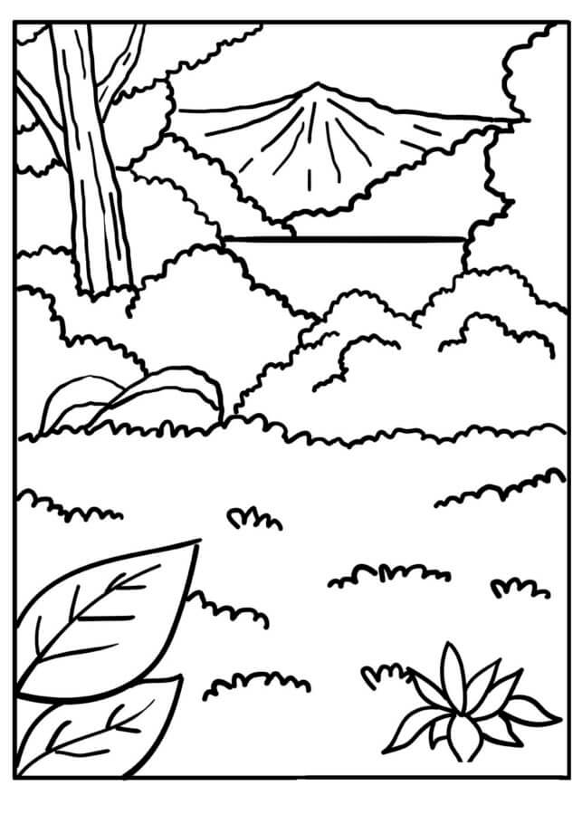 High Mountain Deep In The Forest coloring page