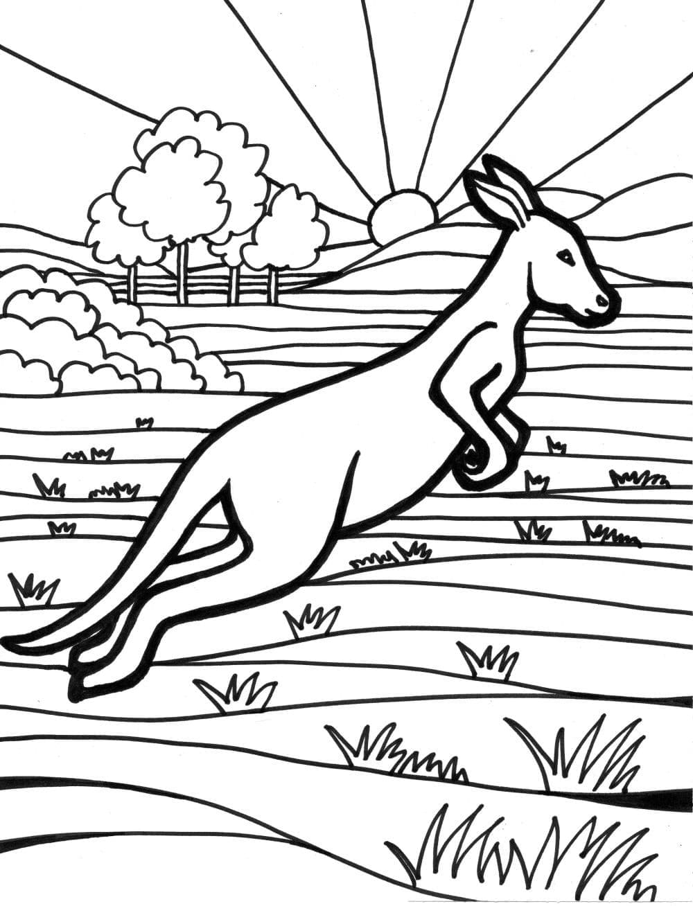 Kangaroo in The Wild coloring page