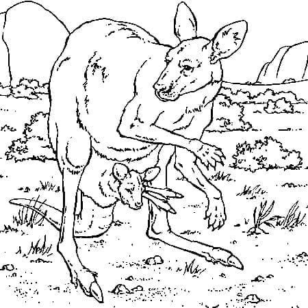 Kangaroos Free Printable coloring page