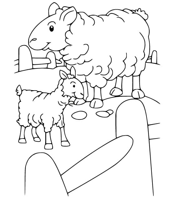 Lamb and Sheep coloring page