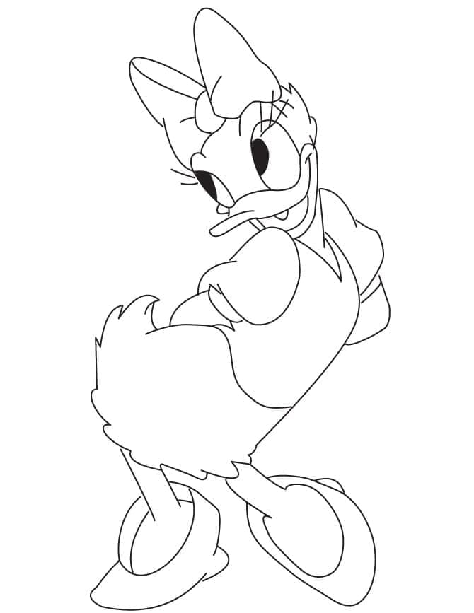 donald duck and daisy duck together coloring pages