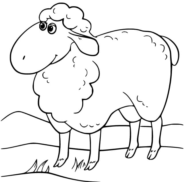 Lovely Sheep coloring page