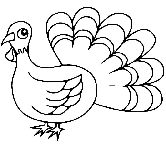 Lovely Turkey coloring page