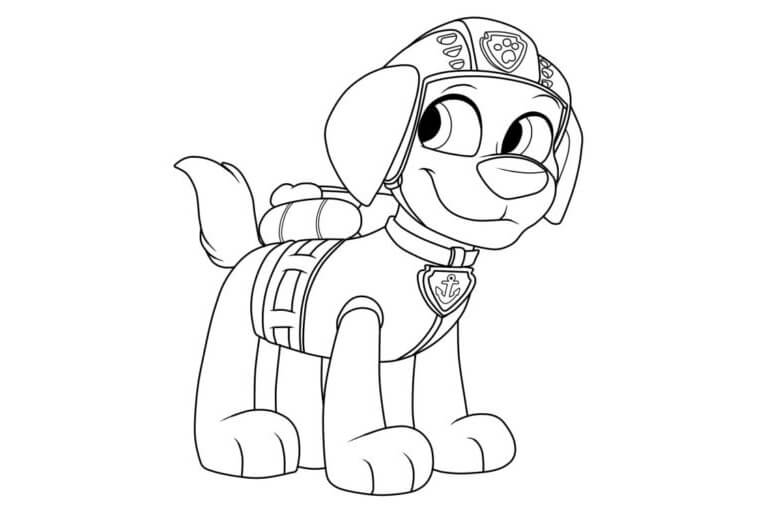 Lovely Zuma coloring page