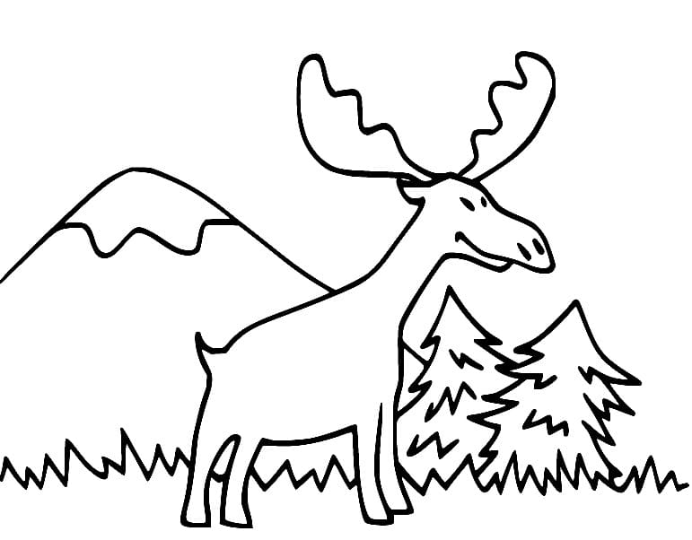 Moose in the Forest