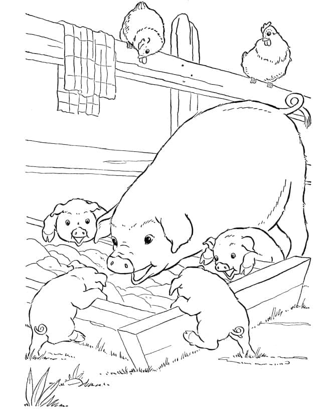 Mother Pig with Piglets coloring page