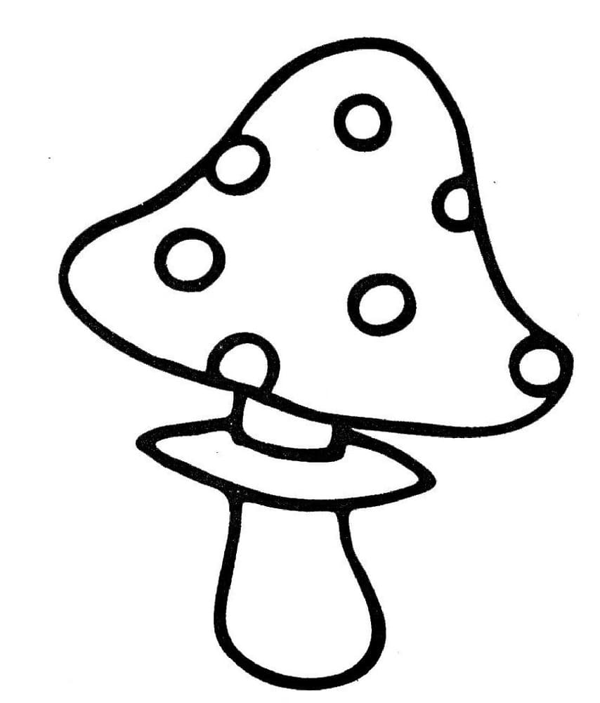 Mushroom for Toddler