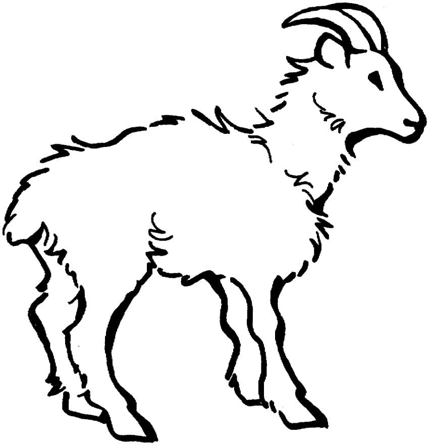 Normal Goat coloring page