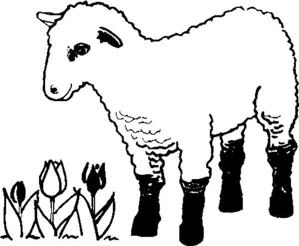 Normal Lamb coloring page