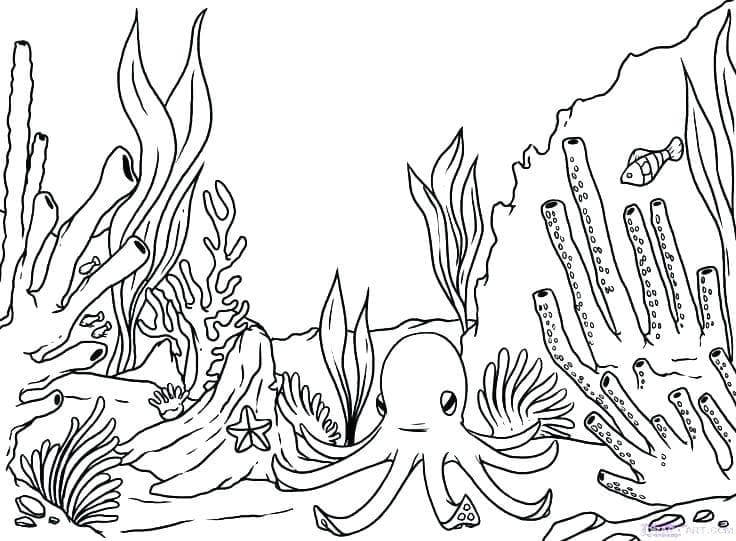 Octopus Under the Sea coloring page