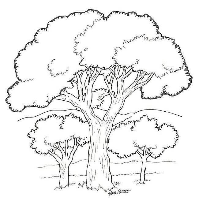 One Big And Two Small Trees coloring page