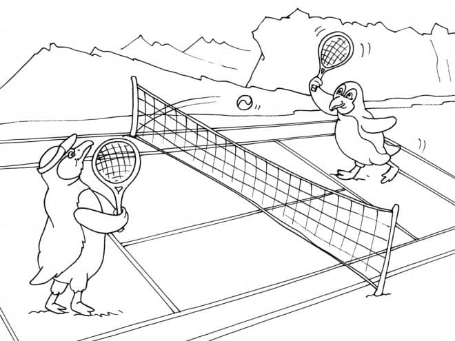Penguin in tennis game