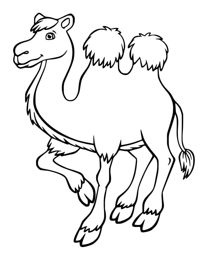 Pretty Camel coloring page