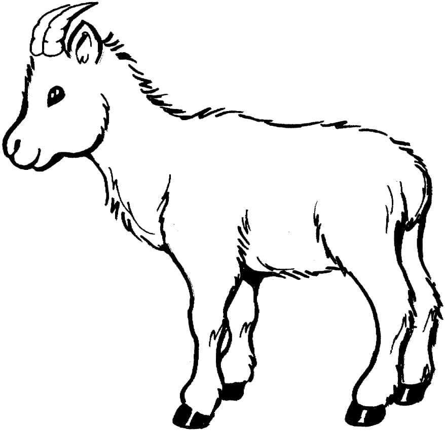 Print Goat coloring page