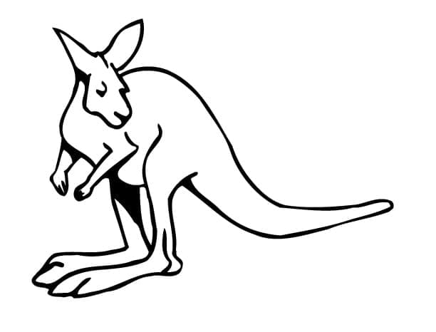 Print Kangaroo