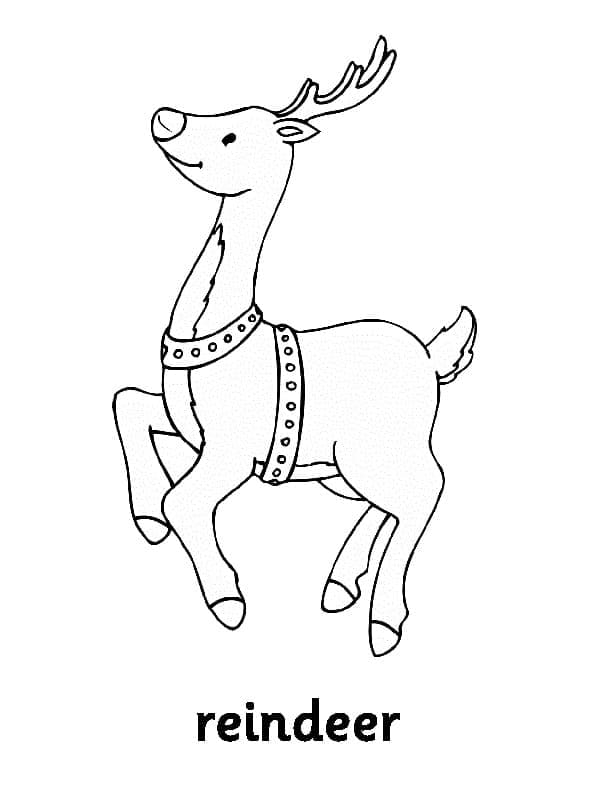 Print Reindeer coloring page