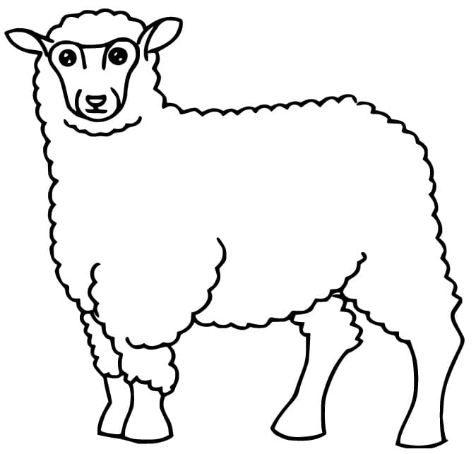 Print Sheep coloring page