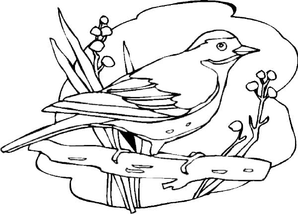 Printable Bird