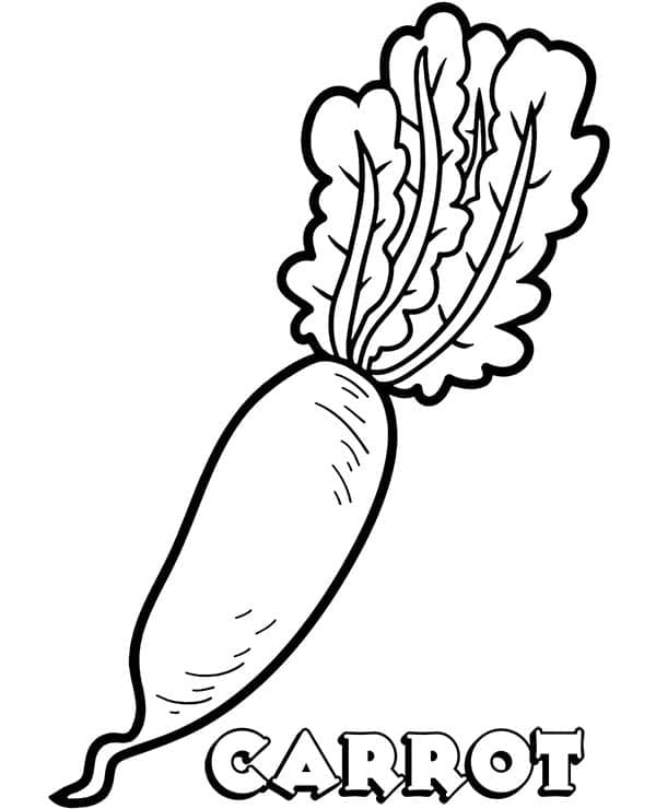 carrot clipart black and white