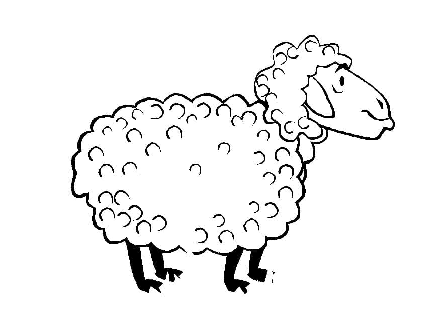 Printable Cartoon Sheep coloring page