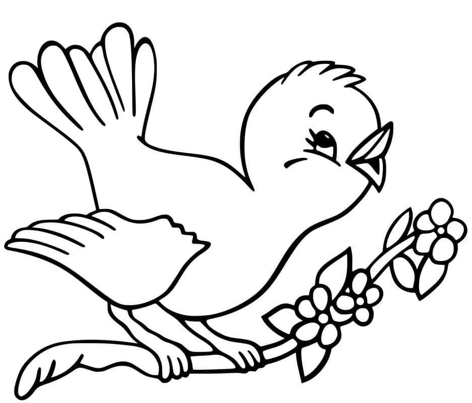 Printable Cute Bird coloring page - Download, Print or Color Online for ...