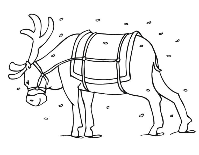 Reindeer For Free coloring page