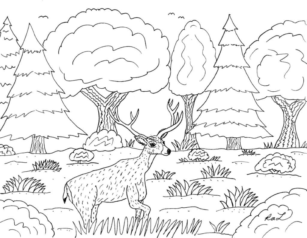 Reindeer in the Forest coloring page